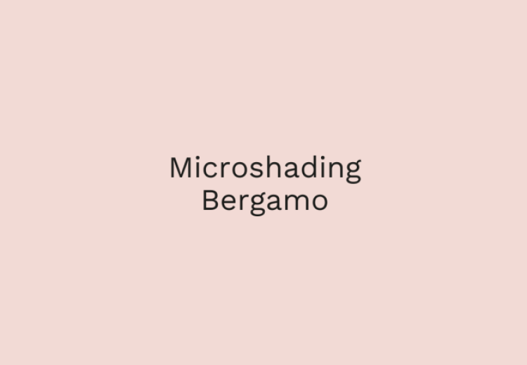 Microshading Bergamo